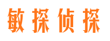 靖西侦探